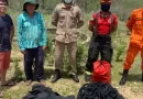 Corpo de Bombeiros do Ceará resgatou 30 animais silvestres no fim de semana